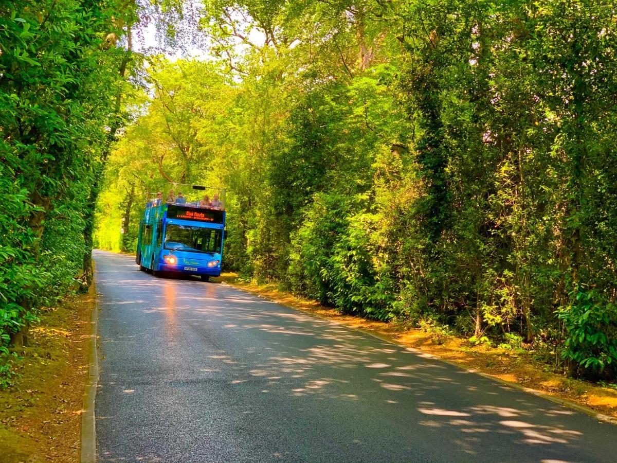Forest Haven Sway المظهر الخارجي الصورة