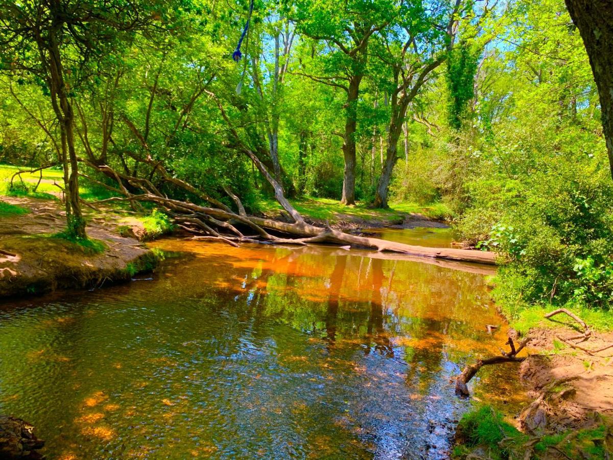 Forest Haven Sway المظهر الخارجي الصورة