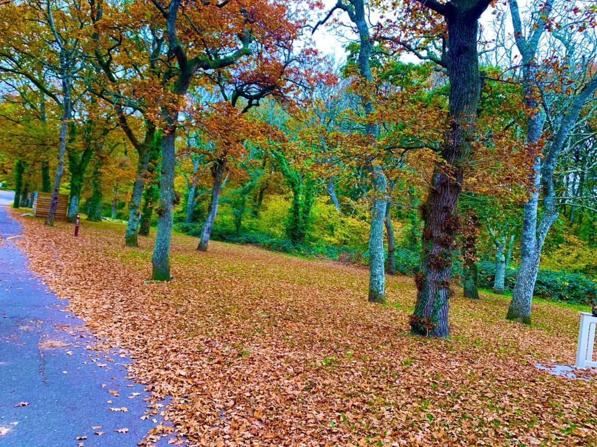 Forest Haven Sway المظهر الخارجي الصورة